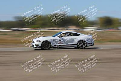 media/Oct-04-2025-OnGrid (Sat) [[44bd565ffa]]/Purple Group/Grapevine/